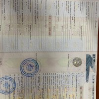 Автобус для перевозки детей ПАЗ 32053-70, идентификационный номер Х1М3205СХ80010