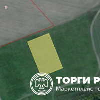 lot-picture-0