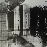 lot-picture-3