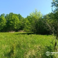 ориентира: Калининградская обл., Гурьевский р-н, п. Голубево, кадастровый номер 