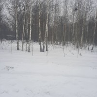 Изображение для лота №2322642