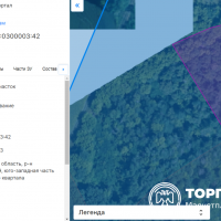 Земельный участок с кадастровым номером 36:10:0300003:42