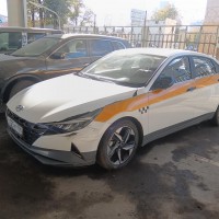 lot-picture-1