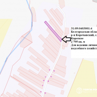 Предоставление в аренду земельного участка с кадастровым номером 31:09:0403001:4