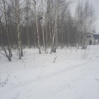 Изображение для лота №2322642
