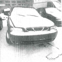 lot-picture-1