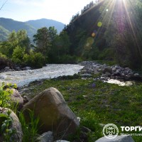 lot-picture-17