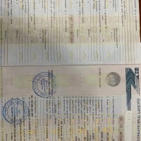 Автобус для перевозки детей, ПАЗ 32053-70, идентификационный номер Х1М32058ХD000