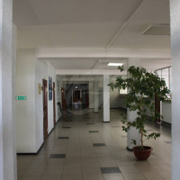 lot-picture-8
