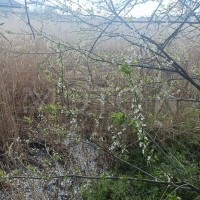 Земельный участок в Карачаево-Черкесии, 800+/-10 кв.м.