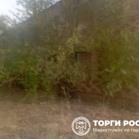 lot-picture-1