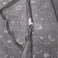 Огнестрельное оружие ТОЗ-34Р, калибр 12*70, год выпуска 1987г.