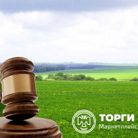 , нежилое здание (магазин), площадь: 60,8 кв.м., кадастровый номер: 45:25:070109