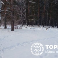 Земельный участок