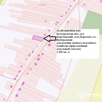 Предоставление в аренду земельного участка с кадастровым номером 31:09:0403004:1