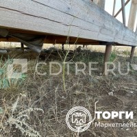 lot-picture-1