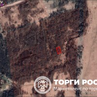 Земельный участок, кадастровый (условный) номер 60:20:0306801:543.