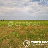 Земельный участок, площадь 600+/-9 кв.м., кадастровый (условный) номер: 63:32:14