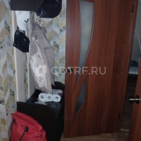 lot-picture-1
