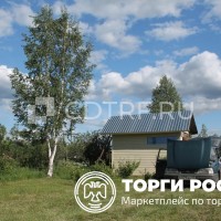 lot-picture-2