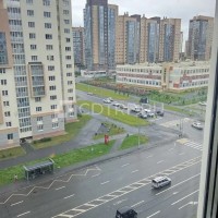 lot-picture-2