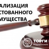 Лот № 3. Доля в уставном капитале ООО «ТЕМП» (ОГРН 1245300002540, ИНН 5300014780