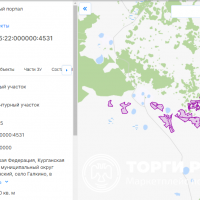 Право на заключение договора аренды земельного участка с кадастровым номером 45:
