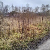 Ежегодная арендная плата за земельный участок, расположенный по адресу: Владимир