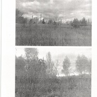 : Российская Федерация, Пермский край, городской округ Пермский, город Пермь, ул
