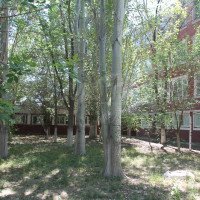 lot-picture-17