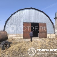 лот 11 Нежилое здание с правом аренды ЗУ по адресу Амурская обл., г. Завитинск