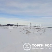 lot-picture-0