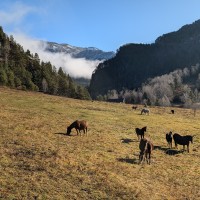 lot-picture-14