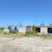 lot-picture-0