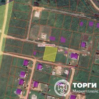 Право заключения договора аренды земельного участка с кадастровым номером 59:07: