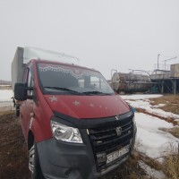 Грузовой бортовой; 3009К7