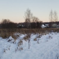 Изображение для лота №2368735