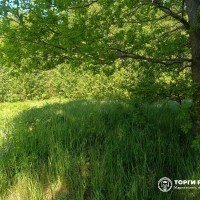 Земельный участок - 128 000 +/- 3 131 кв. м, адрес: местоположение установлено о