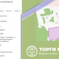 . Соликамск, 3 район, территория бывшего тепличного комбината, с кадастровым ном