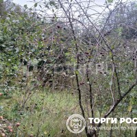 lot-picture-1