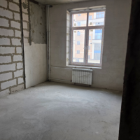lot-picture-2
