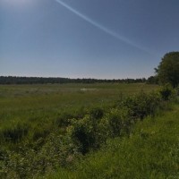 Земельный участок - 242 515 +/- 356 кв. м, адрес: Московская обл., Дмитровский р