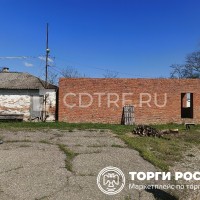 lot-picture-0