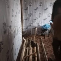 1/4 доля дома и 1/4 доля земельного участка в Забайкальском крае