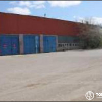 lot-picture-20