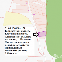Предоставление в аренду земельного участка с кадастровым номером 31:09:1304003:1