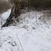 Здание 52,6 кв.м. и земельный участок 1569 кв.м. в Тамбовской обл.