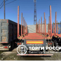 Лот №2 Полуприцеп SH 345 2017 г.в., VIN X4TSH345HH6170136