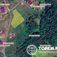Право заключения договора аренды земельного участка с кадастровым номером 59:07: