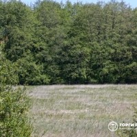 Земельный участок - 15 989 +/- 1 106 кв. м, местоположение: Калининградская обл.